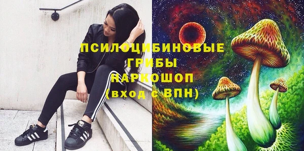 прущая мука Аркадак