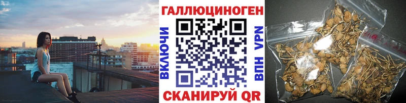 купить сайты Бабушкин Псилоцибиновые грибы мухоморы
